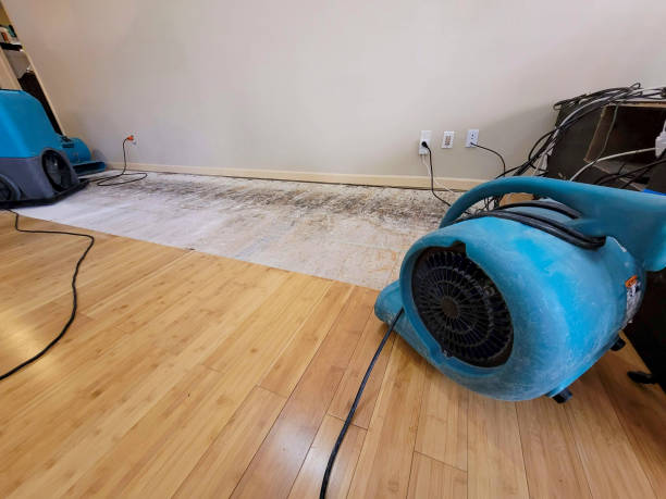 Professional Structural Drying technician working in Hazel Green, AL